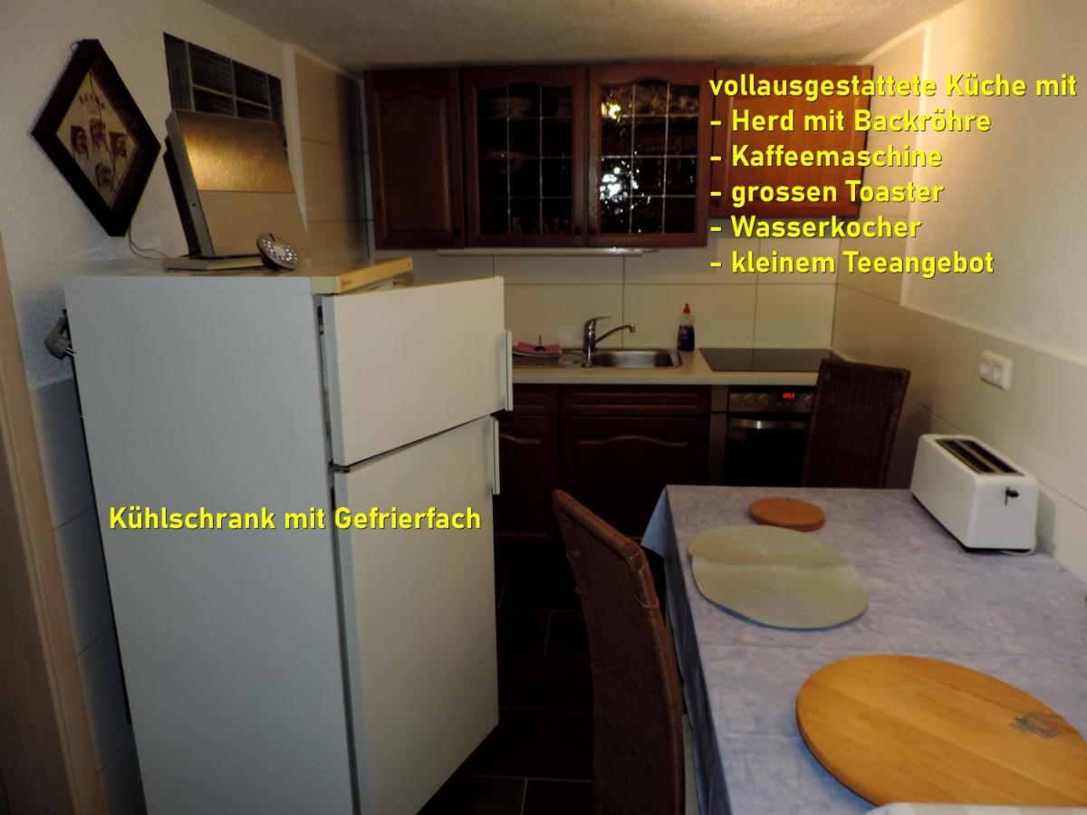 Die Ferienwohnung - Wittenberg An Den Elbwiesen Eksteriør billede