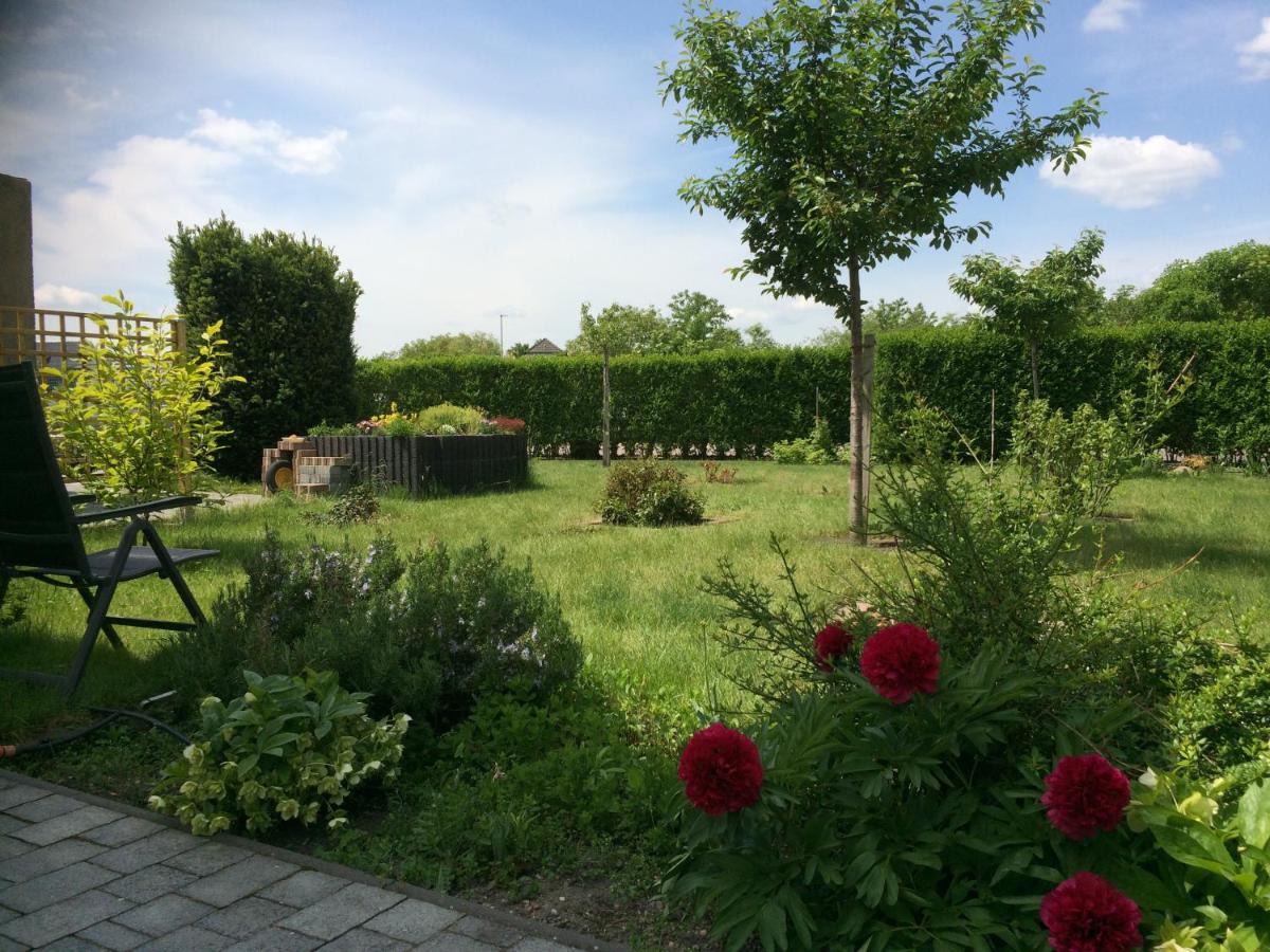 Die Ferienwohnung - Wittenberg An Den Elbwiesen Eksteriør billede
