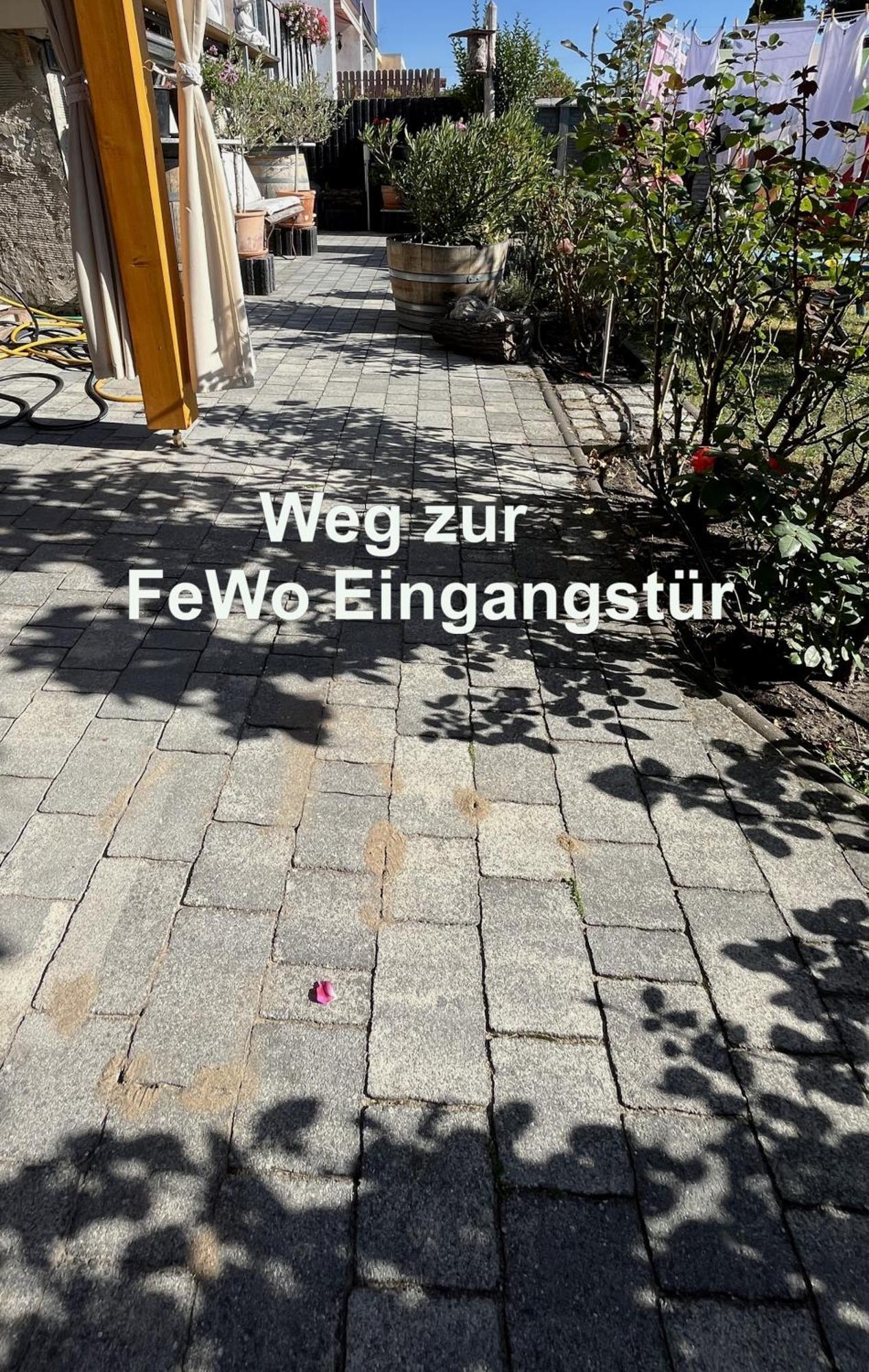 Die Ferienwohnung - Wittenberg An Den Elbwiesen Eksteriør billede